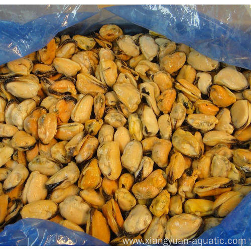 new offer frozen boiled mussel meat with factory price